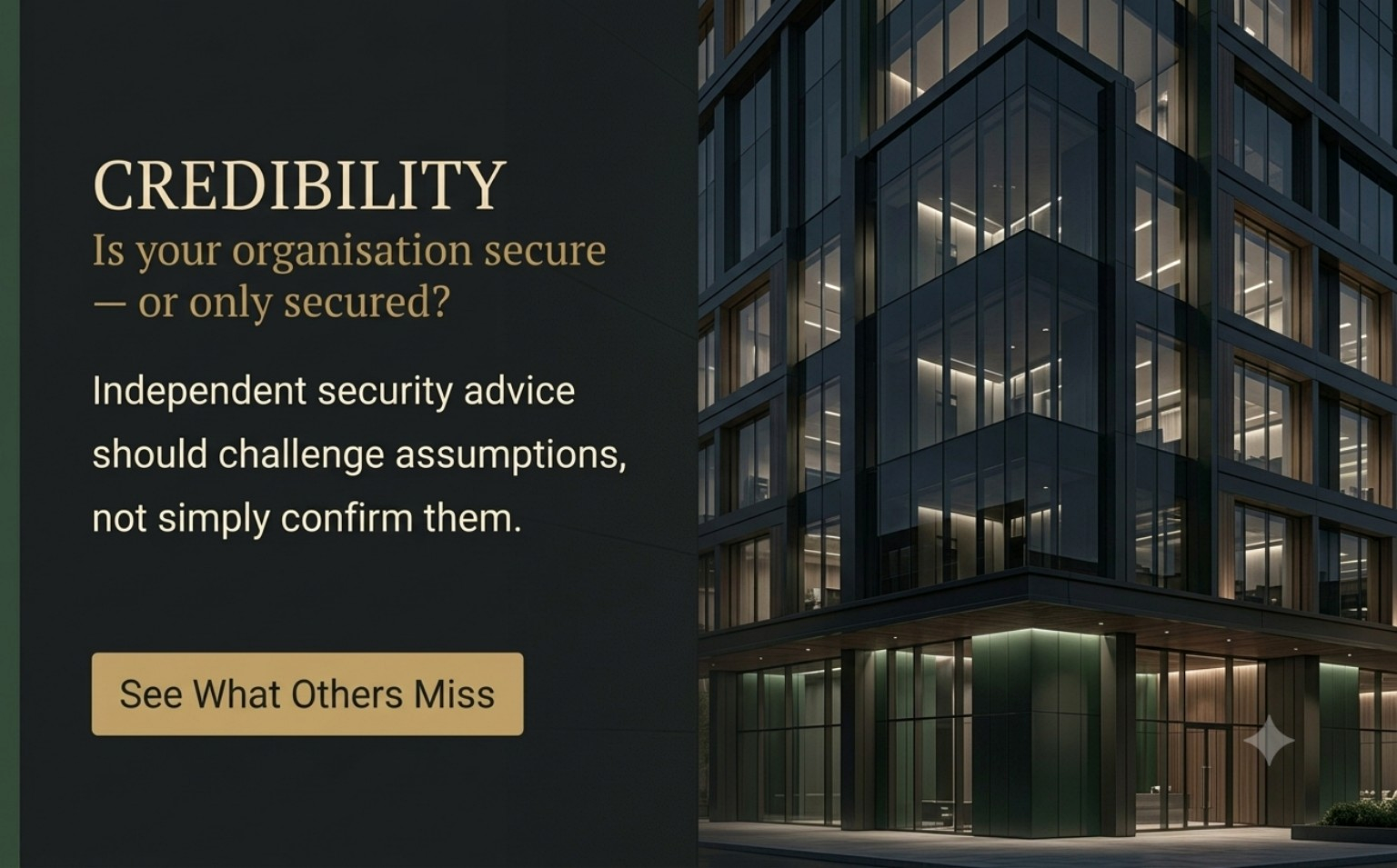 Corporate security and risk environment
